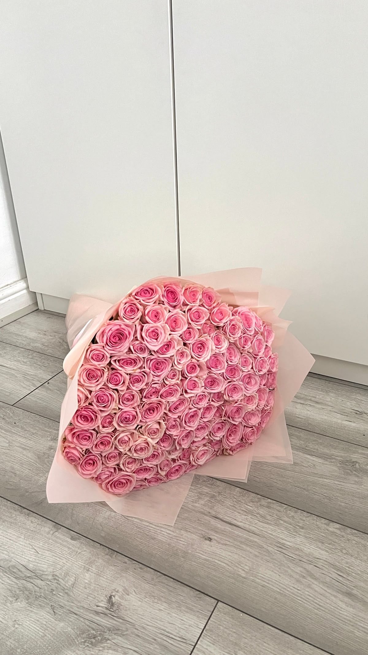 ورود عيد الحب